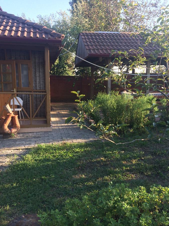 Гостевой Дом "Сария" Alakhadze Exterior photo
