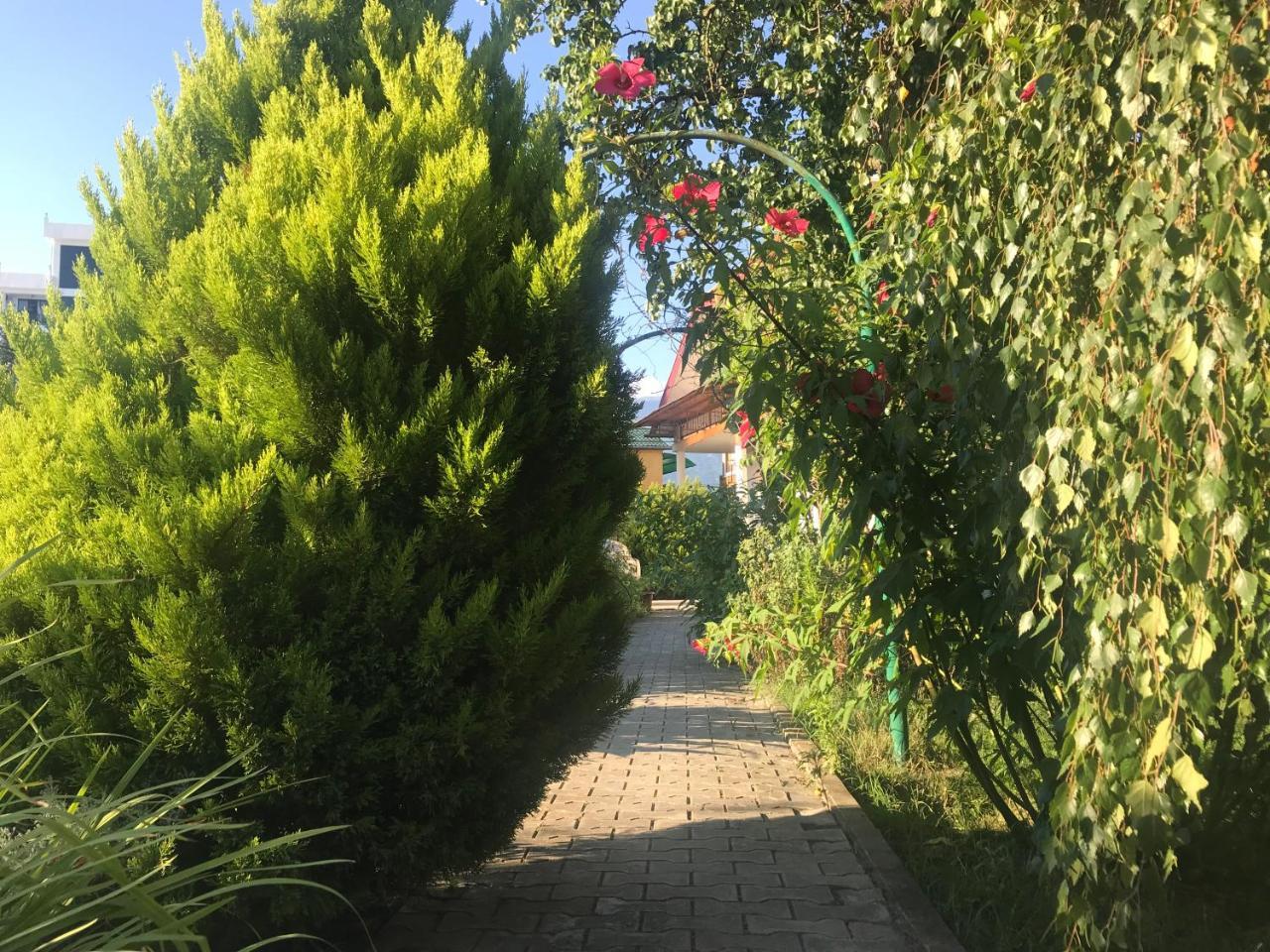Гостевой Дом "Сария" Alakhadze Exterior photo